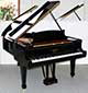 Flügel-Steinway-A-188-schwarz-80925-4-b