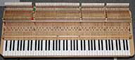 Flügel-Steinway-B-211-schwarz-51629-10-b