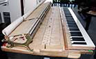 Flügel-Steinway-D-schwarz-16-b