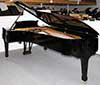 Flügel-Steinway-D-schwarz-3-b