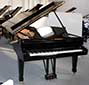 Flügel-Steinway-D-schwarz-5-b