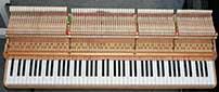 Flgel-Steinway-S-155-Palisander-293650-12-b